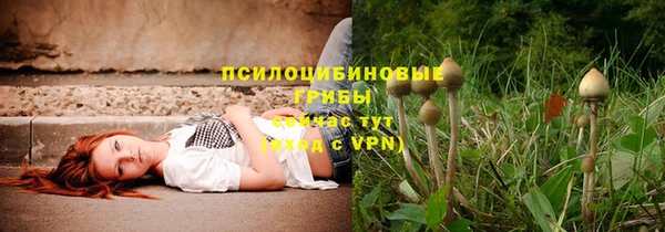 скорость Нея