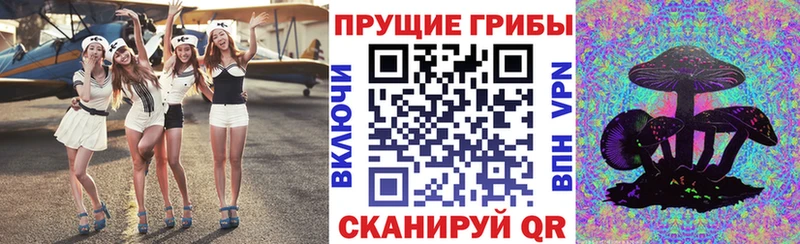 закладки  Москва  Псилоцибиновые грибы Cubensis 