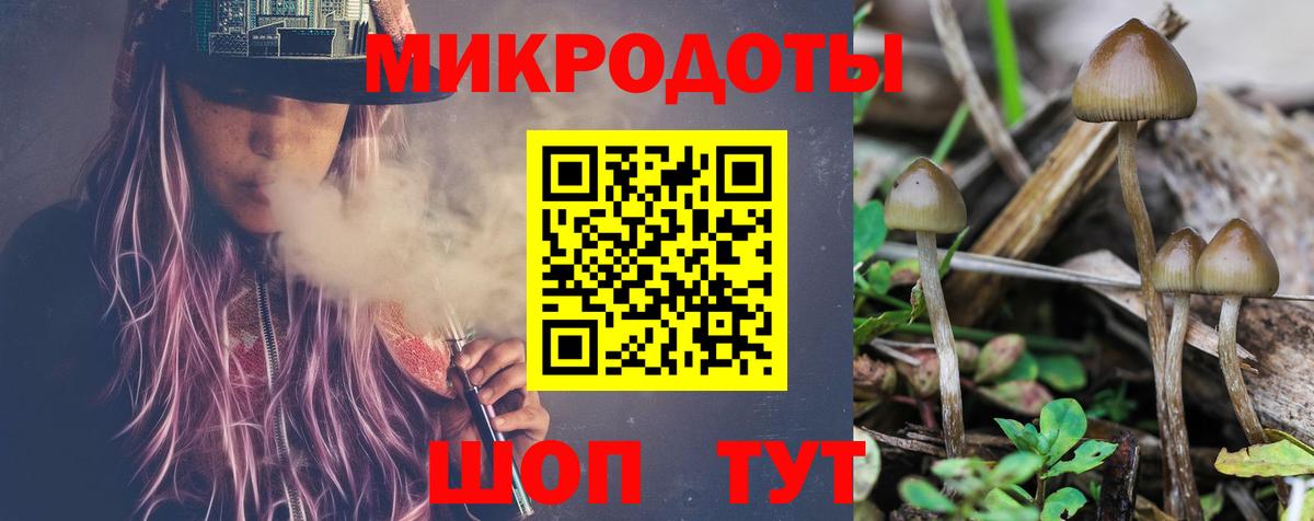 Москва  Псилоцибиновые грибы Psilocybe  продажа наркотиков  Вход с VPN 